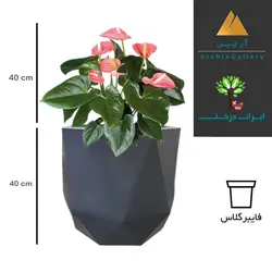 گلدان دکوراتیو آنتوریوم شماره 24 (ارسال سریع امروز)