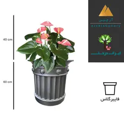 گلدان دکوراتیو آنتوریوم شماره 20 (ارسال سریع امروز)
