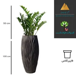 گلدان دکوراتیو زاموفیلیا شماره 57 (ارسال سریع امروز)