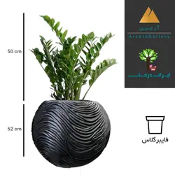 گلدان دکوراتیو زاموفیلیا شماره 44 (ارسال سریع امروز)