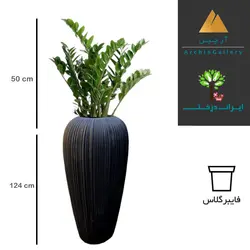 گلدان دکوراتیو زاموفیلیا شماره 43 (ارسال سریع امروز)