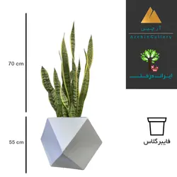 گلدان دکوراتیو سانسوریا شماره 76 (ارسال سریع امروز)