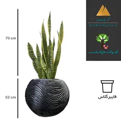 گلدان دکوراتیو سانسوریا شماره 71 (ارسال سریع امروز)