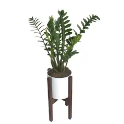 گلدان پایه دار زاموفیلیا شماره 12 - ایران درخت