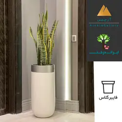 گلدان هدیه لوکس سانسوریا شماره 50 - ایران درخت