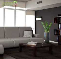 گلدان زاموفیلیا شماره 19 - ایران درخت