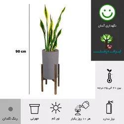 گلدان پایه دار سانسوریا ابلق شماره 46 - ایران درخت