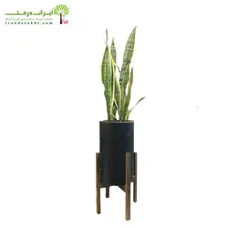 گلدان پایه دار سانسوریا ابلق شماره 46 - ایران درخت