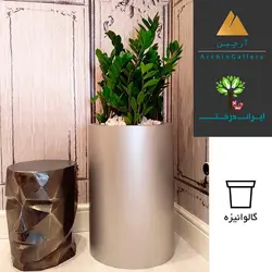گلدان دکوراتیو زاموفیلیا شماره 24 - ایران درخت