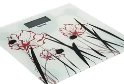 خرید ، قیمت ، مشخصات | ترازوی دیجیتالی بیورر مدل beurer GS27 | فروشگاه اینترنتی تجهیزات پزشکی ایران