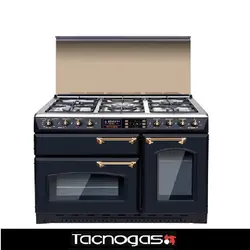 اجاق گاز تاکنوگاز مدل Romano 5B-BS Gold