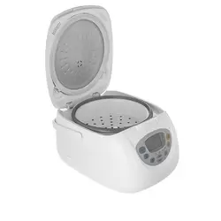 پلوپز دیجیتالی پارس خزر DMC-101P