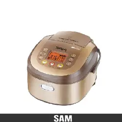 پلوپز سام مدل RC5200GD
