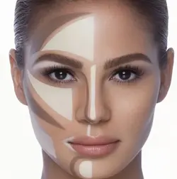 پالت های کانتور چرب آناستازیا