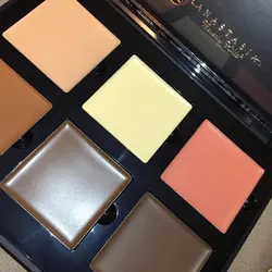 پالت های کانتور چرب آناستازیا