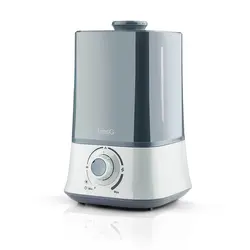 دستگاه بخور سرد امسیگ Emsig US452