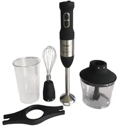 گوشت کوب برقی دسینی مدل HB100 ا Dessini HB100 Hand Blender