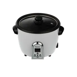 پلوپز پاناسونیک مدل SR-1970D ا Panasonic SR-1970D cooker