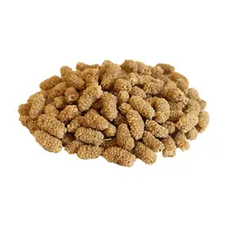 توت خشک ممتاز