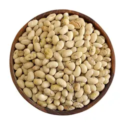 سویا نمکی