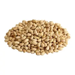 سویا نمکی