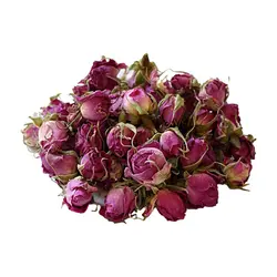 غنچه گل محمدی ممتاز