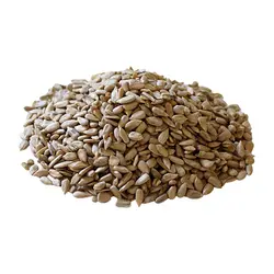مغز تخمه آفتابگردان