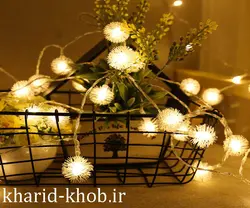 ریسه قاصدک