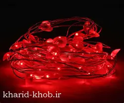 ریسه قلب میکرو