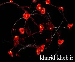 ریسه قلب میکرو