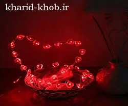 ریسه قلب میکرو