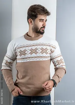 پلیور مردانه (T) کرم مدل Servin