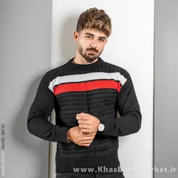 پلیور مردانه (T) یقه گردمدل Ariya	 رنگ مشکی