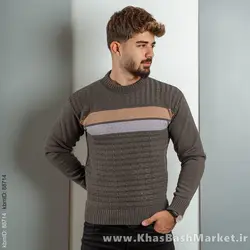 پلیور مردانه (T) یقه گردمدل Ariya	 رنگ دودی