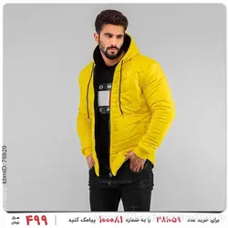 کاپشن مردانه  Araz  مدل 17100