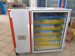 دستگاه جوجه کشی 420 عددی کاکل پری