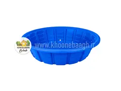 استخر مدل پریشکا