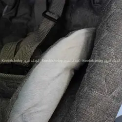 سرویس کالسکه دلیجان 4 تکه مدل مگنس Magnes - فروشگاه اینترنتی کودک امروز
