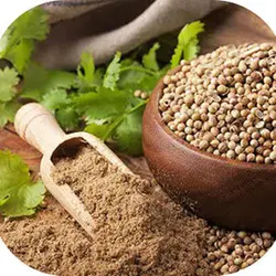پودر تخم گشنیز 100 گرم 2301806