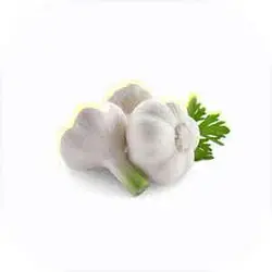 سیر تازه خرد شده 500 گرم 2301047