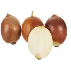 پیاز زرد  - ۱ کیلوگرم ۲۳۰۴۰۲۳