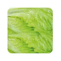 کاهو برگ شده 500 گرم 2301056