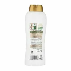 شامپو صحت مدل Olive حجم 1 لیتر 6260031022066