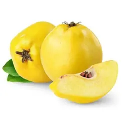 به اصفهان یک کیلو گرمی ۲۳۰۴۰۹۹