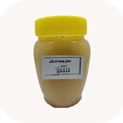 عسل یونجه خارشتر 500 گرم 2302844