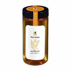 عسل شهد گون نیکا 500 گرم 6263657600229