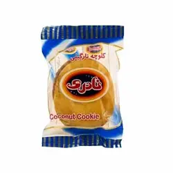 کلوچه نارگیلی نادری - 100 گرم 6260501001690