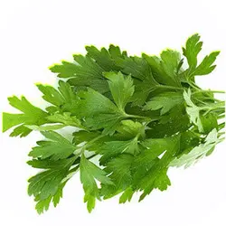 جعفری برگ 200 گرم 2308306