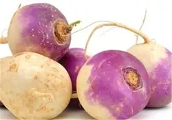 شلغم شیرین اصفهان یک کیلو گرمی ۲۳۰۴۰۵۱