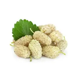 توت سفید ۱ کیلو گرم ۲۳۰۱۴۱۷